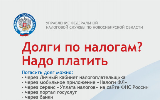Пени в фнс. Налоговые органы новосибирской области. день образования налоговых органов новосибирской области. уфнс по псковской области информирует напоминает картинки.